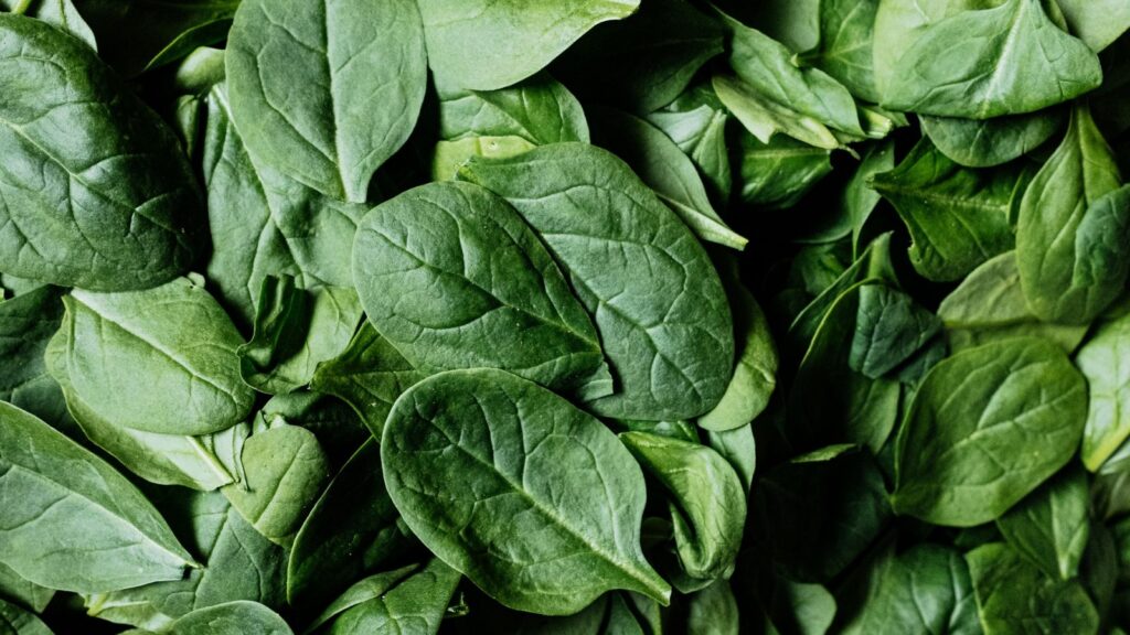 ¿Comer espinacas protege tus pulmones? Un estudio revela el posible beneficio de la vitamina K1