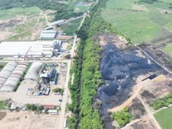 Profepa clausura alcoholera en Veracruz por mortandad de fauna en río Limón