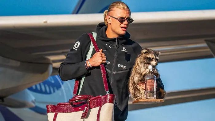 ¿Qué hace con un mapache? Haaland regresa a Noruega con un inesperado acompañante