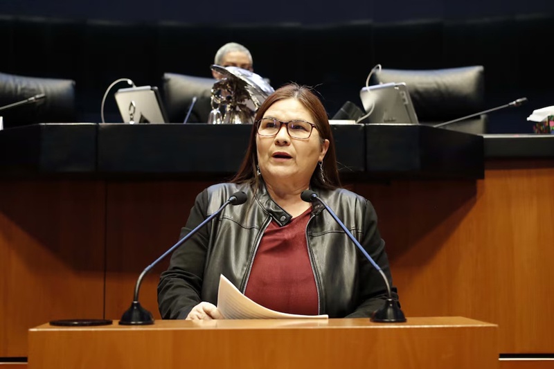 Imelda Castro liderará a Morena en Sinaloa