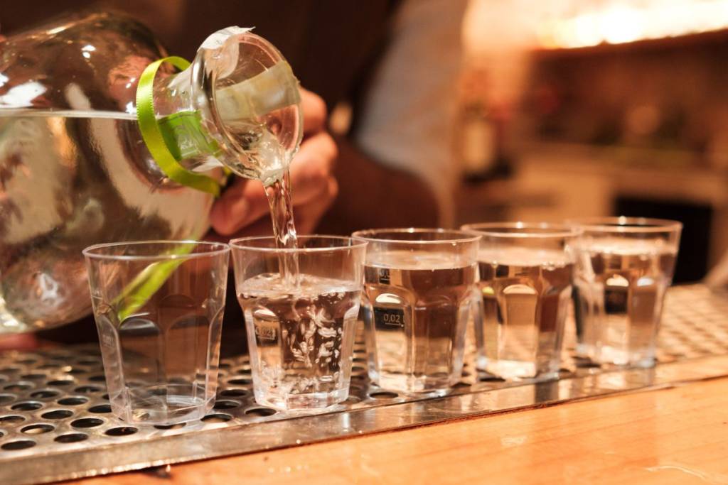 Tierra Mezcal Fest llega a Toluca: un viaje entre agaves, catas y tradición mexicana