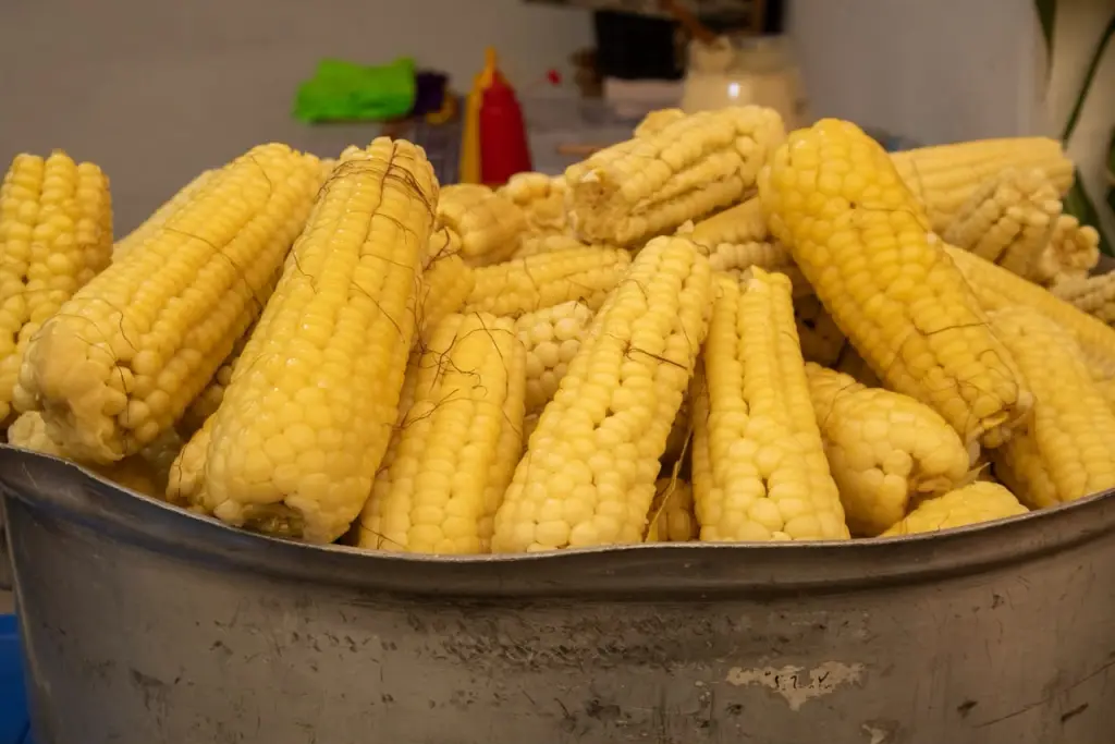 La Feria Nacional del Elote 2026 llega a Topilejo: esquites con tuétano, garnachas y música para celebrar las fiestas patrias
